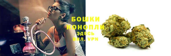 сатива Михайловск